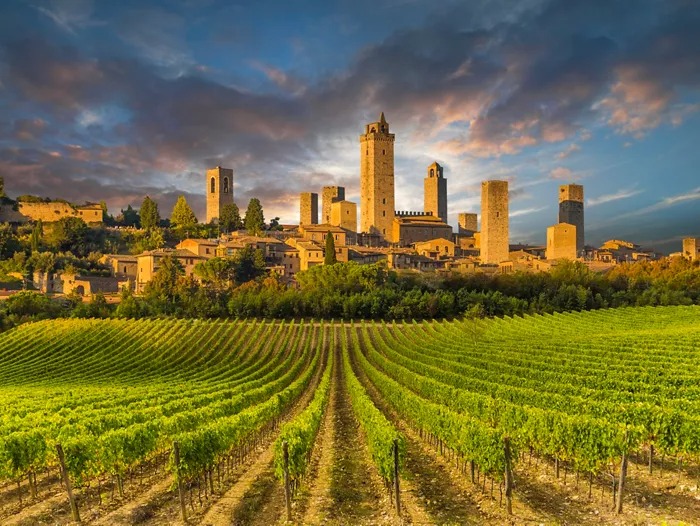 vigneto Pisa - San Gimignano